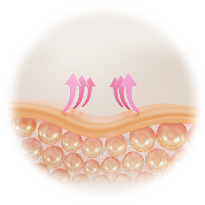 (Image)